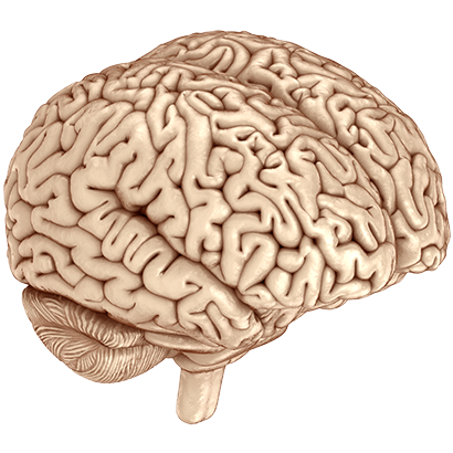 Services img e1772570341541